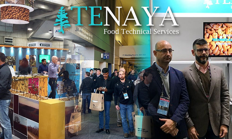 logo TENAYA